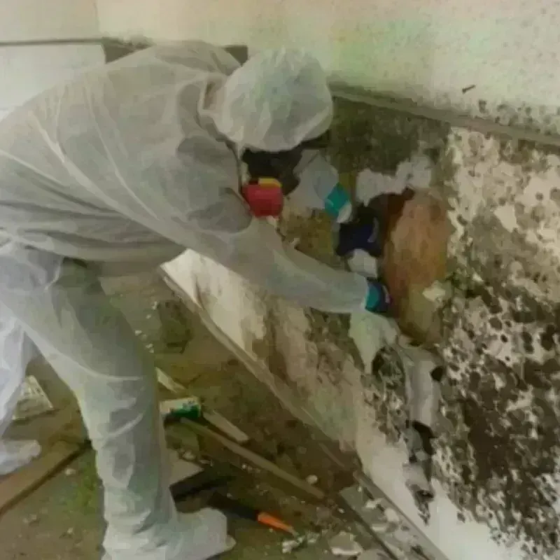 Mold Remediation and Removal in Rensselaer, NY